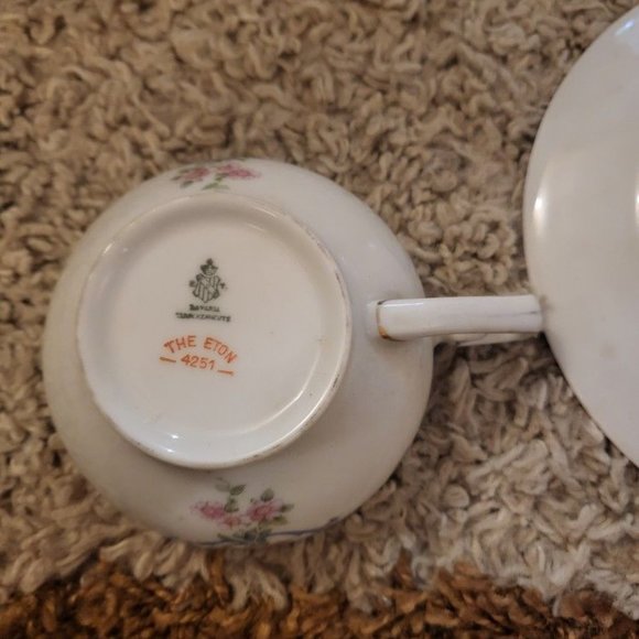 Antique China Cup & Saucer Tirschenreuth - Picture 2 of 4